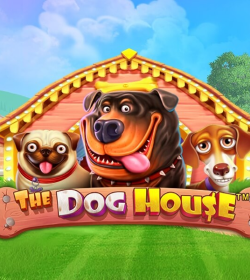 The Dog House